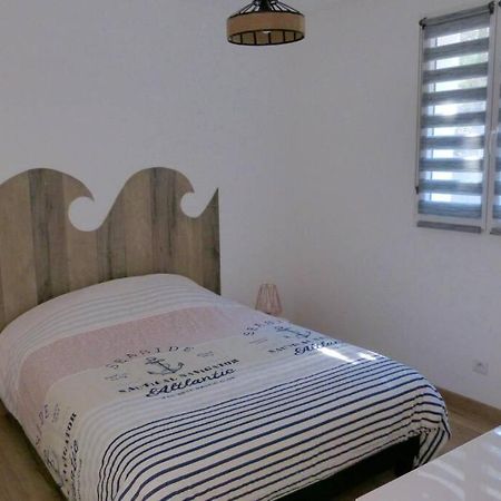 Gite Entierement Renove Sur Le Theme De La Mer. Carpentras Eksteriør billede